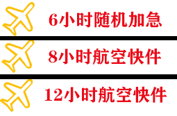 音布鲁克航空物流快递公司,专业空运当天件